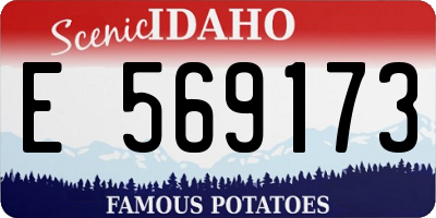 ID license plate E569173