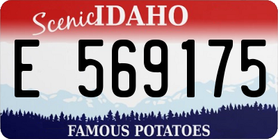 ID license plate E569175