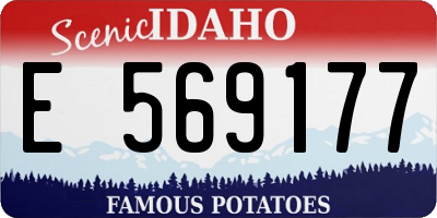 ID license plate E569177
