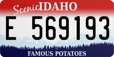 ID license plate E569193