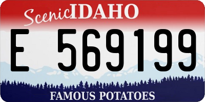 ID license plate E569199
