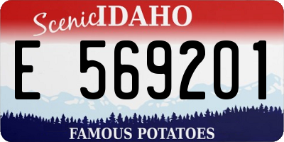 ID license plate E569201