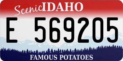 ID license plate E569205