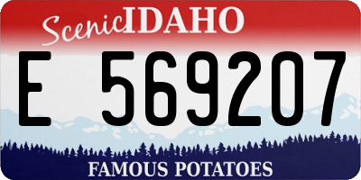 ID license plate E569207
