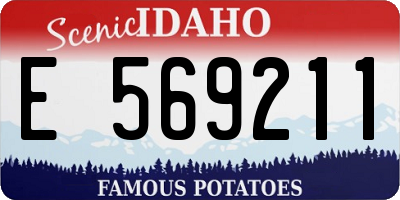 ID license plate E569211