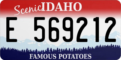 ID license plate E569212