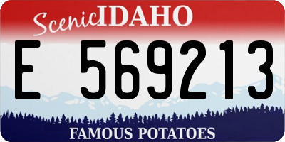 ID license plate E569213