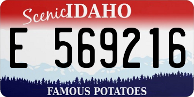 ID license plate E569216