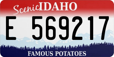 ID license plate E569217