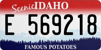 ID license plate E569218