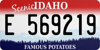 ID license plate E569219