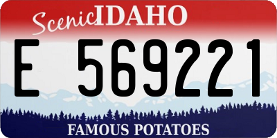 ID license plate E569221