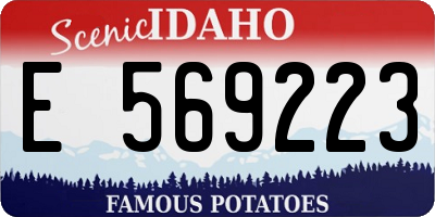 ID license plate E569223