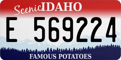 ID license plate E569224