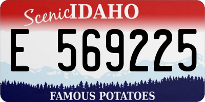 ID license plate E569225