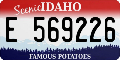 ID license plate E569226