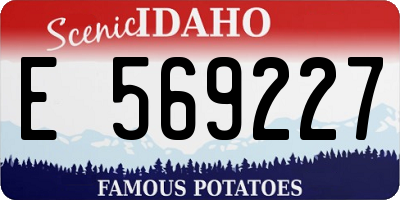ID license plate E569227
