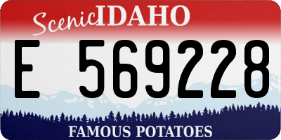 ID license plate E569228