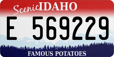 ID license plate E569229
