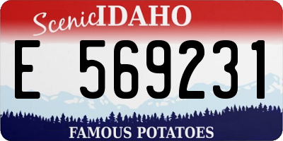 ID license plate E569231