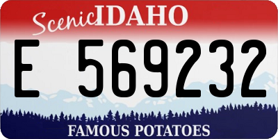 ID license plate E569232