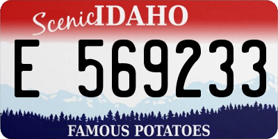 ID license plate E569233