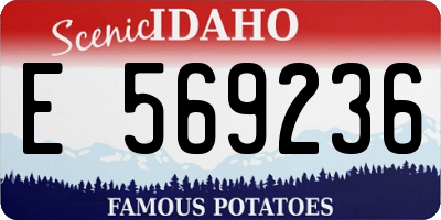 ID license plate E569236