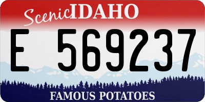 ID license plate E569237