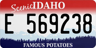 ID license plate E569238