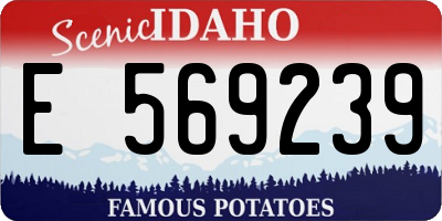 ID license plate E569239