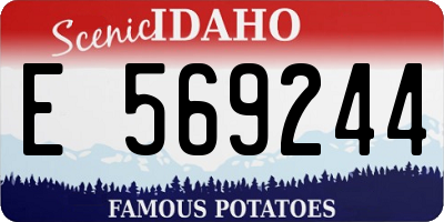 ID license plate E569244
