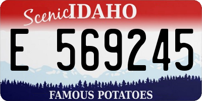 ID license plate E569245