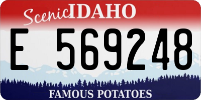 ID license plate E569248