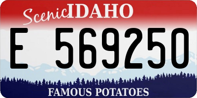 ID license plate E569250