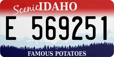 ID license plate E569251