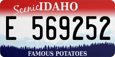 ID license plate E569252