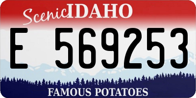 ID license plate E569253