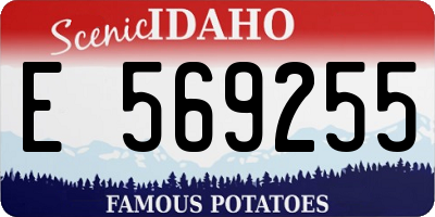 ID license plate E569255