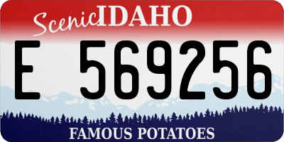 ID license plate E569256
