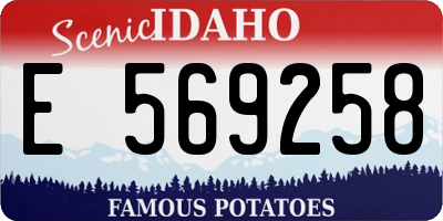 ID license plate E569258