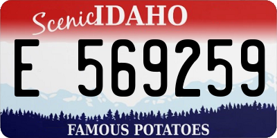 ID license plate E569259