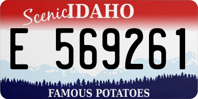 ID license plate E569261