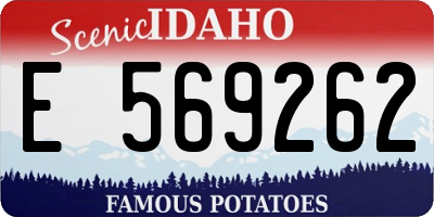ID license plate E569262