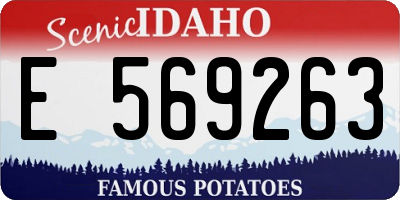 ID license plate E569263