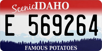 ID license plate E569264