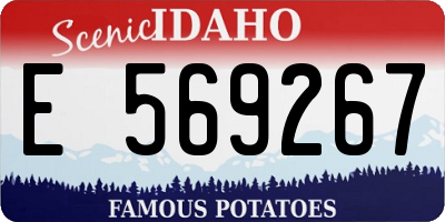 ID license plate E569267