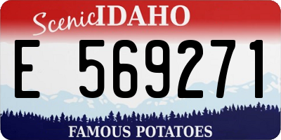 ID license plate E569271