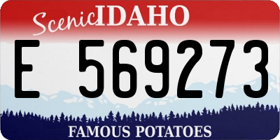 ID license plate E569273