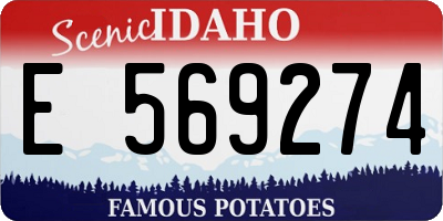 ID license plate E569274