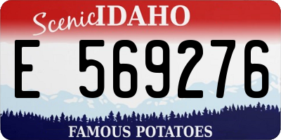 ID license plate E569276